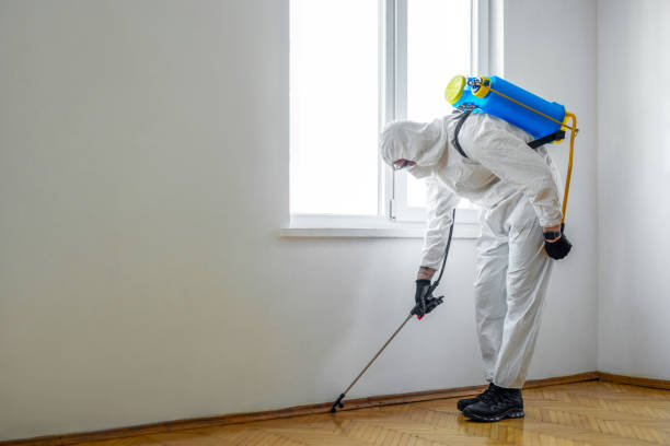 Best Termite Control Services  in Haverhill, MA