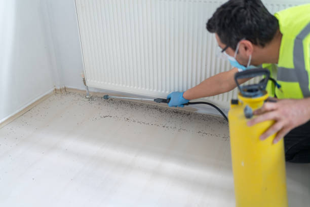 Best Ant Control Services  in Haverhill, MA